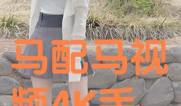 马配马视频,一场跨越时空的浪漫邂逅